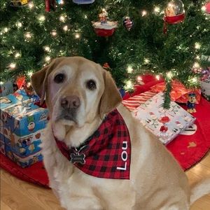 Meet your Posher, Theresa